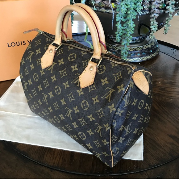 Louis Vuitton Handbags - Exquisite Louis Vuitton Speedy 30